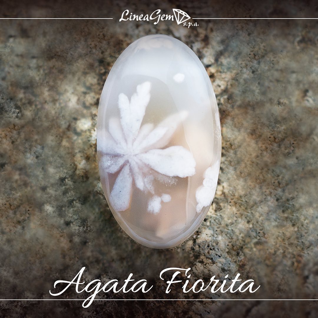 cabochon ovale di agata fiorita naturale lineagem